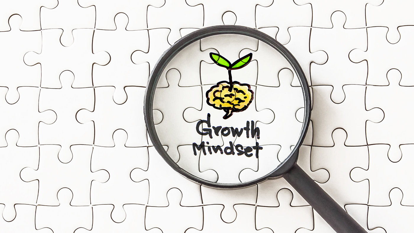 Mindset at Work